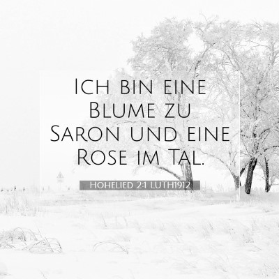 Picture 07 - Hohelied 2:1 LUTH1912 - Ich bin eine Blume zu Saron und eine Rose im - Bible Verse Picture