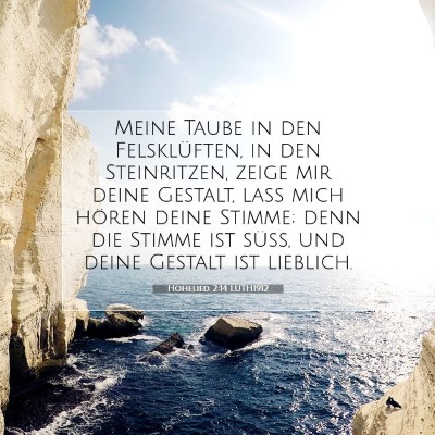 Picture 07 - Hohelied 2:14 LUTH1912 - Meine Taube in den Felsklüften, in den - Bible Verse Picture