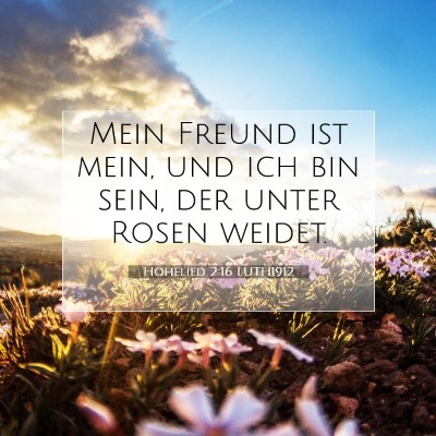 Picture 07 - Hohelied 2:16 LUTH1912 - Mein Freund ist mein, und ich bin sein, der unter - Bible Verse Picture