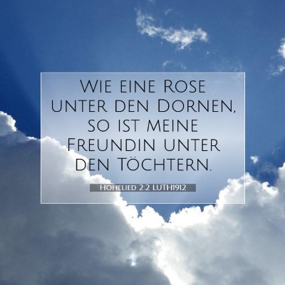 Picture 07 - Hohelied 2:2 LUTH1912 - Wie eine Rose unter den Dornen, so ist meine - Bible Verse Picture