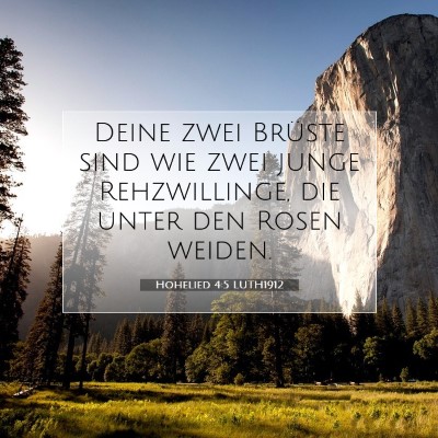 Picture 07 - Hohelied 4:5 LUTH1912 - Deine zwei Brüste sind wie zwei junge - Bible Verse Picture