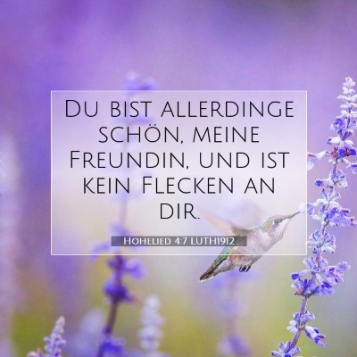 Picture 07 - Hohelied 4:7 LUTH1912 - Du bist allerdinge schön, meine Freundin, und - Bible Verse Picture