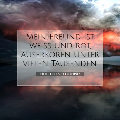 Picture 07 - Hohelied 5:10 LUTH1912 - Mein Freund ist weiß und rot, auserkoren unter - Bible Verse Picture