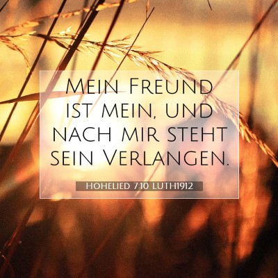 Picture 07 - Hohelied 7:10 LUTH1912 - Mein Freund ist mein, und nach mir steht sein - Bible Verse Picture