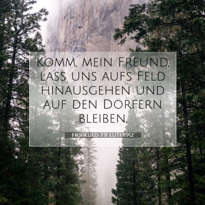 Picture 07 - Hohelied 7:11 LUTH1912 - Komm, mein Freund, laß uns aufs Feld hinausgehen - Bible Verse Picture