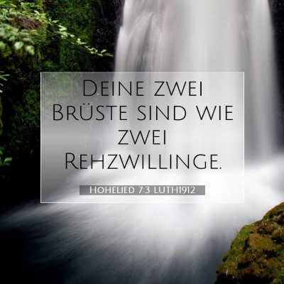 Picture 07 - Hohelied 7:3 LUTH1912 - Deine zwei Brüste sind wie zwei - Bible Verse Picture