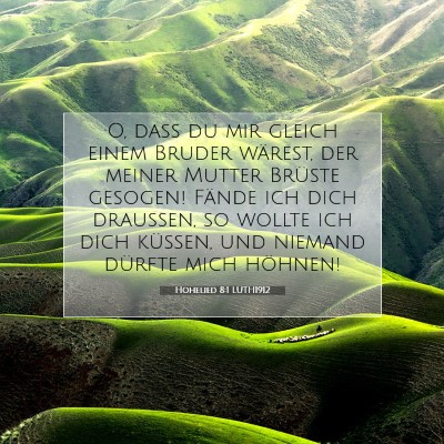 Picture 07 - Hohelied 8:1 LUTH1912 - O, daß du mir gleich einem Bruder wärest, der - Bible Verse Picture