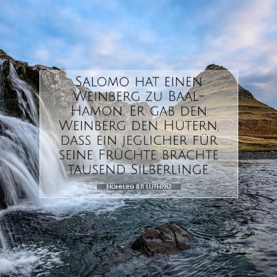 Picture 07 - Hohelied 8:11 LUTH1912 - Salomo hat einen Weinberg zu Baal-Hamon. Er gab - Bible Verse Picture