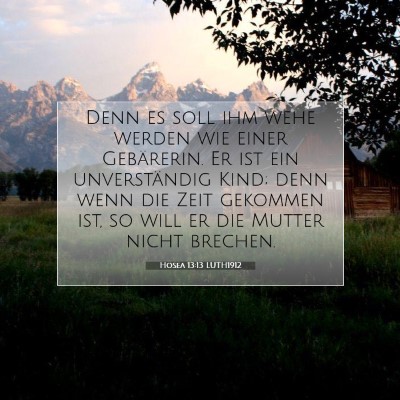 Picture 07 - Hosea 13:13 LUTH1912 - Denn es soll ihm wehe werden wie einer - Bible Verse Picture