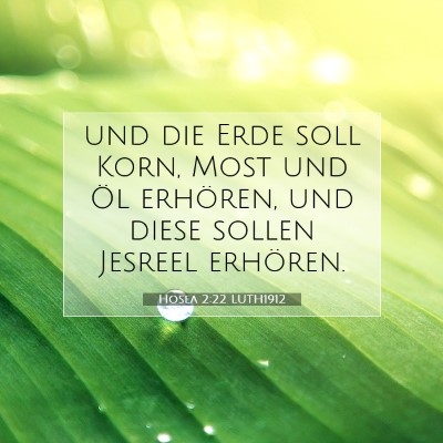 Picture 07 - Hosea 2:22 LUTH1912 - und die Erde soll Korn, Most und Öl erhören, - Bible Verse Picture