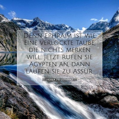 Picture 07 - Hosea 7:11 LUTH1912 - Denn Ephraim ist wie eine verlockte Taube, die - Bible Verse Picture