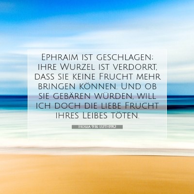 Picture 07 - Hosea 9:16 LUTH1912 - Ephraim ist geschlagen; ihre Wurzel ist verdorrt, - Bible Verse Picture
