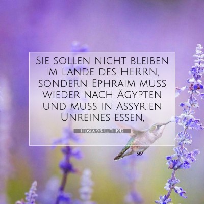 Picture 07 - Hosea 9:3 LUTH1912 - Sie sollen nicht bleiben im Lande des HERRN, - Bible Verse Picture