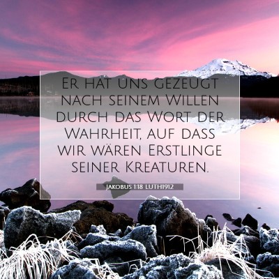 Picture 07 - Jakobus 1:18 LUTH1912 - Er hat uns gezeugt nach seinem Willen durch das - Bible Verse Picture