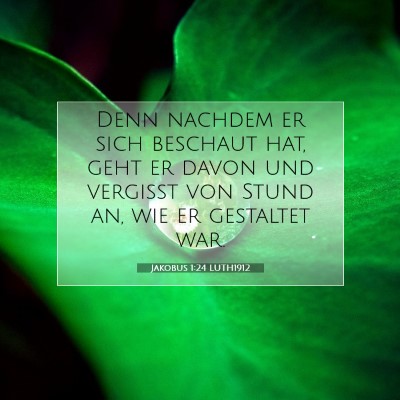 Picture 07 - Jakobus 1:24 LUTH1912 - Denn nachdem er sich beschaut hat, geht er davon - Bible Verse Picture