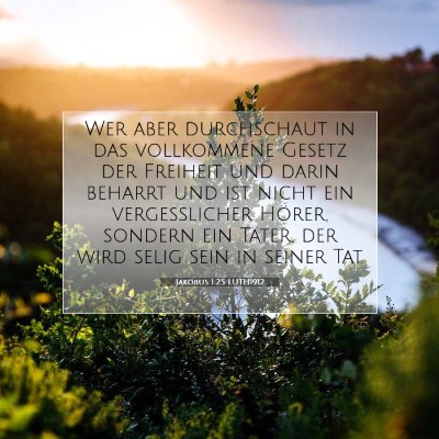 Picture 07 - Jakobus 1:25 LUTH1912 - Wer aber durchschaut in das vollkommene Gesetz - Bible Verse Picture