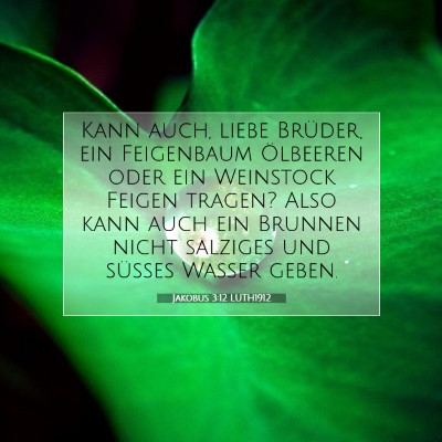 Picture 07 - Jakobus 3:12 LUTH1912 - Kann auch, liebe Brüder, ein Feigenbaum - Bible Verse Picture