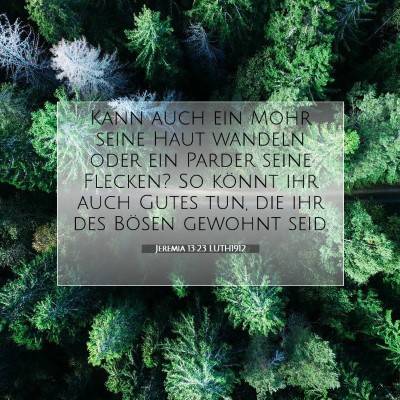 Picture 07 - Jeremia 13:23 LUTH1912 - Kann auch ein Mohr seine Haut wandeln oder ein - Bible Verse Picture