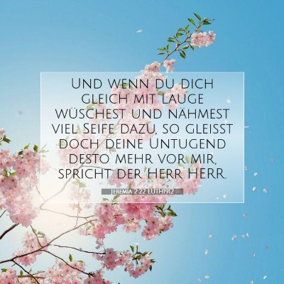 Picture 07 - Jeremia 2:22 LUTH1912 - Und wenn du dich gleich mit Lauge wüschest und - Bible Verse Picture