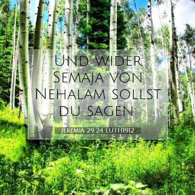 Picture 07 - Jeremia 29:24 LUTH1912 - Und wider Semaja von Nehalam sollst du - Bible Verse Picture