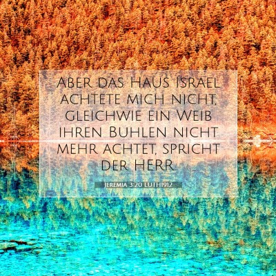 Picture 07 - Jeremia 3:20 LUTH1912 - Aber das Haus Israel achtete mich nicht, - Bible Verse Picture