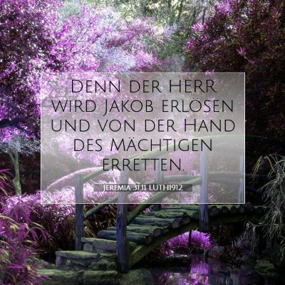 Picture 07 - Jeremia 31:11 LUTH1912 - Denn der HERR wird Jakob erlösen und von der - Bible Verse Picture