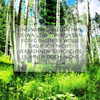 Picture 07 - Jeremia 36:25 LUTH1912 - und wiewohl Elnathan, Delaja und Gemarja den - Bible Verse Picture
