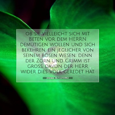 Picture 07 - Jeremia 36:7 LUTH1912 - ob sie vielleicht sich mit Beten vor dem HERRN - Bible Verse Picture