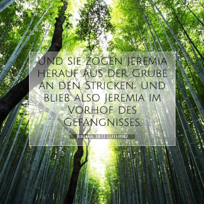 Picture 07 - Jeremia 38:13 LUTH1912 - Und sie zogen Jeremia herauf aus der Grube an den - Bible Verse Picture