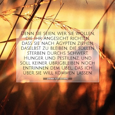 Picture 07 - Jeremia 42:17 LUTH1912 - Denn sie seien, wer sie wollen, die ihr Angesicht - Bible Verse Picture