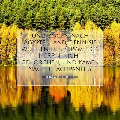 Picture 07 - Jeremia 43:7 LUTH1912 - und zogen nach Ägyptenland, denn sie wollten der - Bible Verse Picture