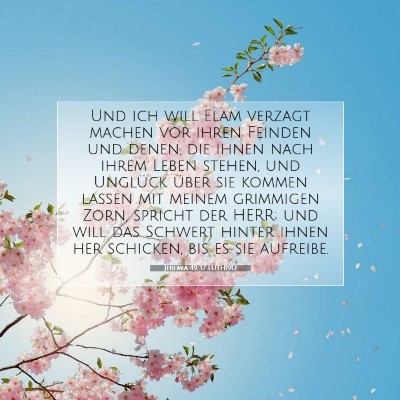 Picture 07 - Jeremia 49:37 LUTH1912 - Und ich will Elam verzagt machen vor ihren - Bible Verse Picture
