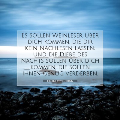 Picture 07 - Jeremia 49:9 LUTH1912 - Es sollen Weinleser über dich kommen, die dir - Bible Verse Picture