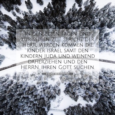 Picture 07 - Jeremia 50:4 LUTH1912 - In denselben Tagen und zur selben Zeit, spricht - Bible Verse Picture
