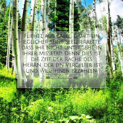Picture 07 - Jeremia 51:6 LUTH1912 - Fliehet aus Babel, damit ein jeglicher seine - Bible Verse Picture