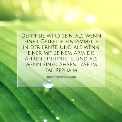 Picture 07 - Jesaja 17:5 LUTH1912 - Denn sie wird sein, als wenn einer Getreide - Bible Verse Picture