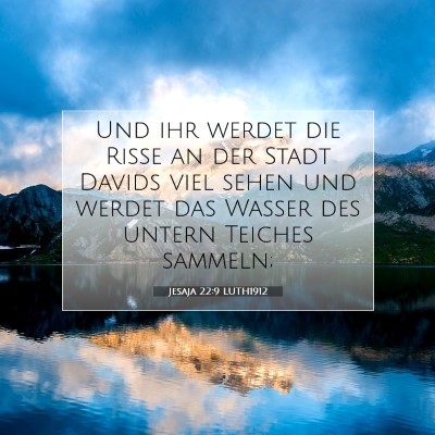 Picture 07 - Jesaja 22:9 LUTH1912 - Und ihr werdet die Risse an der Stadt Davids viel - Bible Verse Picture