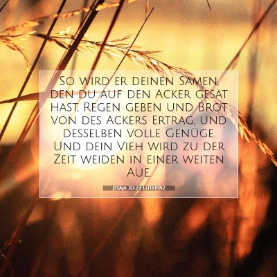Picture 07 - Jesaja 30:23 LUTH1912 - So wird er deinen Samen, den du auf den Acker - Bible Verse Picture