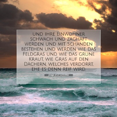 Picture 07 - Jesaja 37:27 LUTH1912 - und ihre Einwohner schwach und zaghaft werden und - Bible Verse Picture