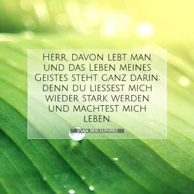 Picture 07 - Jesaja 38:16 LUTH1912 - Herr, davon lebt man, und das Leben meines - Bible Verse Picture