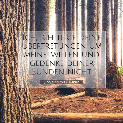 Picture 07 - Jesaja 43:25 LUTH1912 - Ich, ich tilge deine Übertretungen um - Bible Verse Picture