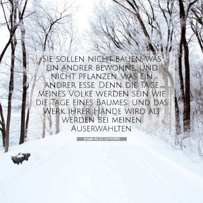 Picture 07 - Jesaja 65:22 LUTH1912 - Sie sollen nicht bauen, was ein andrer bewohne, - Bible Verse Picture