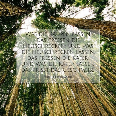 Picture 07 - Joel 1:4 LUTH1912 - Was die Raupen lassen, das fressen die - Bible Verse Picture