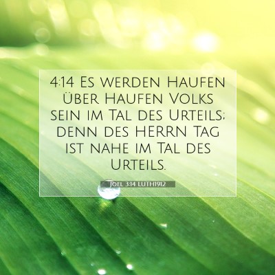 Picture 07 - Joel 3:14 LUTH1912 - 4:14 Es werden Haufen über Haufen Volks sein im - Bible Verse Picture