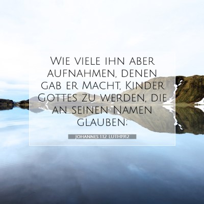 Picture 07 - Johannes 1:12 LUTH1912 - Wie viele ihn aber aufnahmen, denen gab er Macht, - Bible Verse Picture