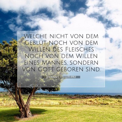 Picture 07 - Johannes 1:13 LUTH1912 - welche nicht von dem Geblüt noch von dem Willen - Bible Verse Picture