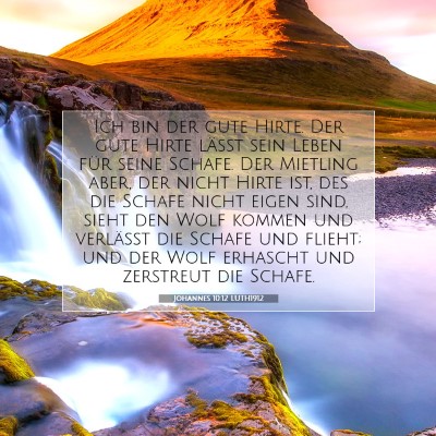 Picture 07 - Johannes 10:12 LUTH1912 - Ich bin der gute Hirte. Der gute Hirte läßt - Bible Verse Picture