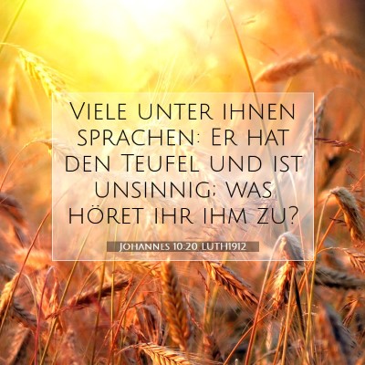 Picture 07 - Johannes 10:20 LUTH1912 - Viele unter ihnen sprachen: Er hat den Teufel und - Bible Verse Picture