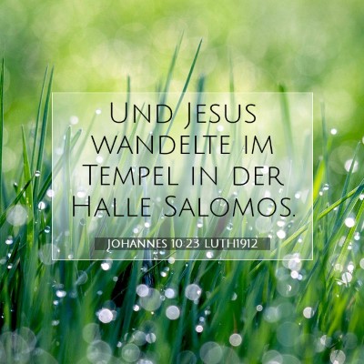 Picture 07 - Johannes 10:23 LUTH1912 - Und Jesus wandelte im Tempel in der Halle - Bible Verse Picture