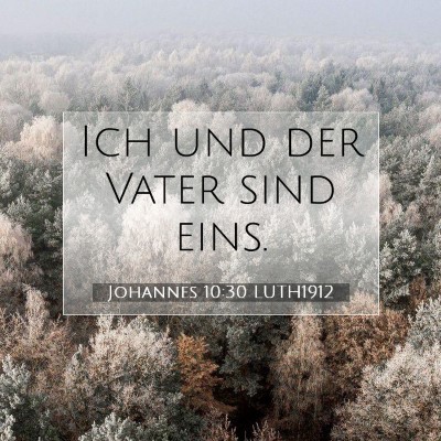 Picture 07 - Johannes 10:30 LUTH1912 - Ich und der Vater sind - Bible Verse Picture